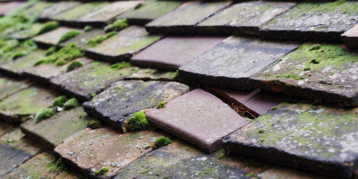 Chelmarsh roof repair costs
